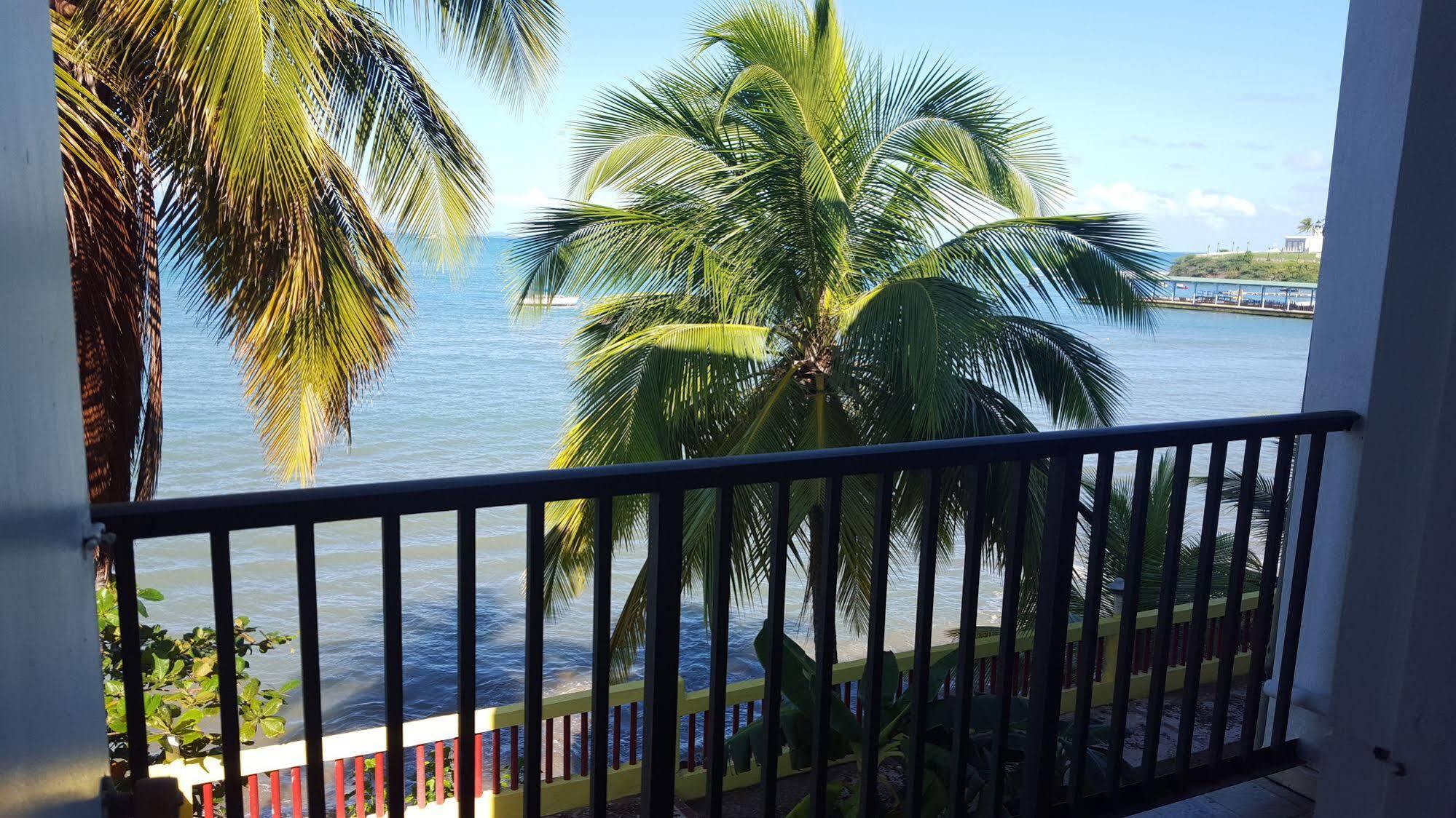 The Wave Hotel Vieques Luaran gambar